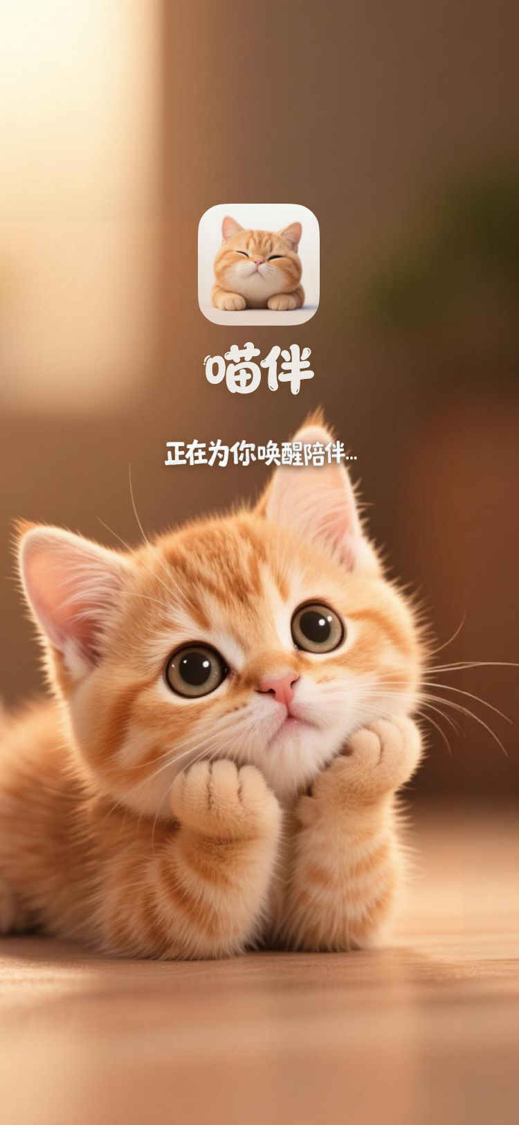 温暖的橘猫TA